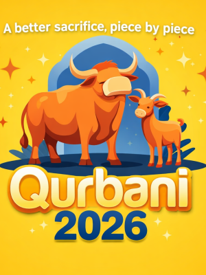 14053452-d80a-4728-98b0-efc00c0734bb